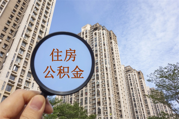 公积金还看征信吗吗_中国香港公积金代办在职离职封存服务